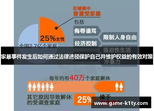 家暴事件发生后如何通过法律途径保护自己并维护权益的有效对策
